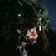 Illustration for article titled The Ultimate Guide to Evil Cats in Science Fiction and Fantasy